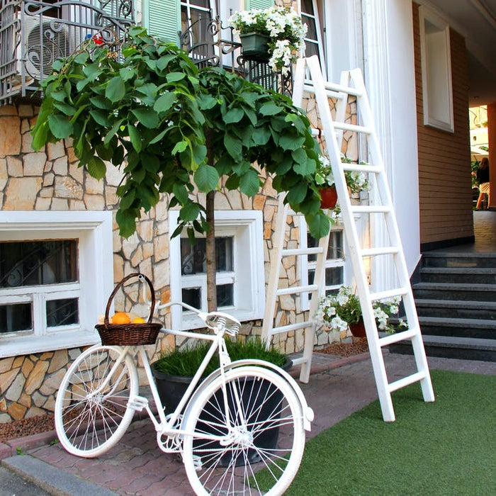 A beautiful outdoor area with a decorative bike and ladder